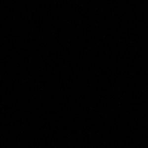 Meet your Posher, Ramona